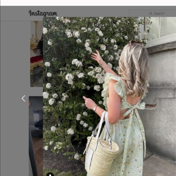 H&M Wildflower Collection Floral Poplin Dress - Picture 3 of 8